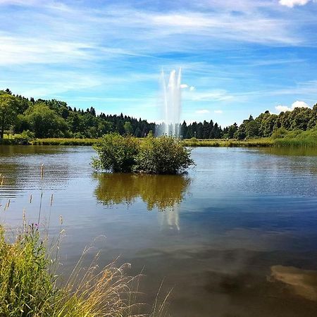 Ferienappartement Balbiani Hahnenklee-Harz Гослар Экстерьер фото